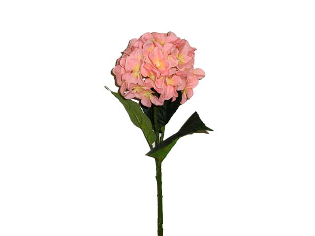 Ortensia rosa 6012