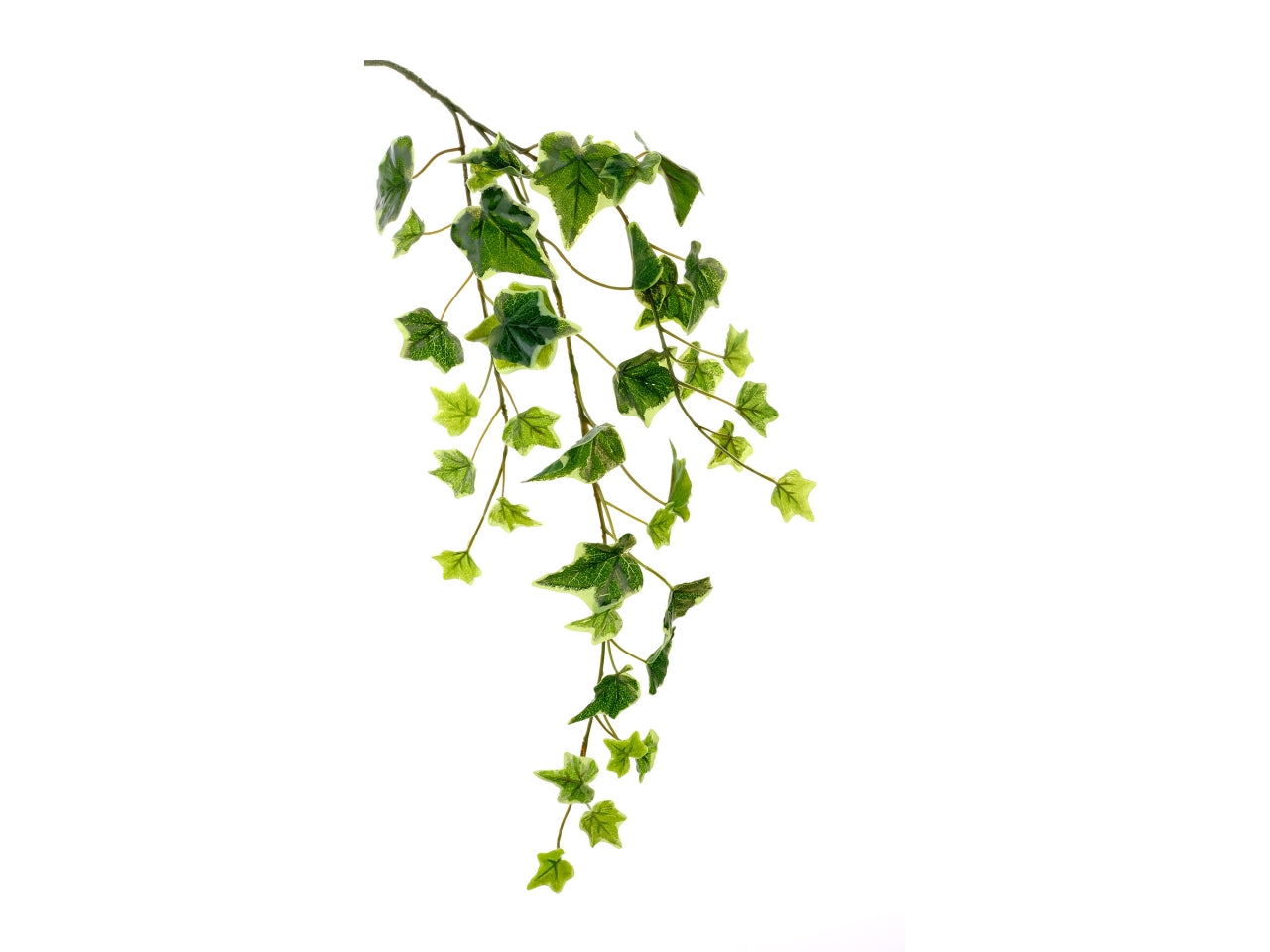 Ramo edera verde variegata con 39 foglie in tessuto 62 cm - Tobia's Deco