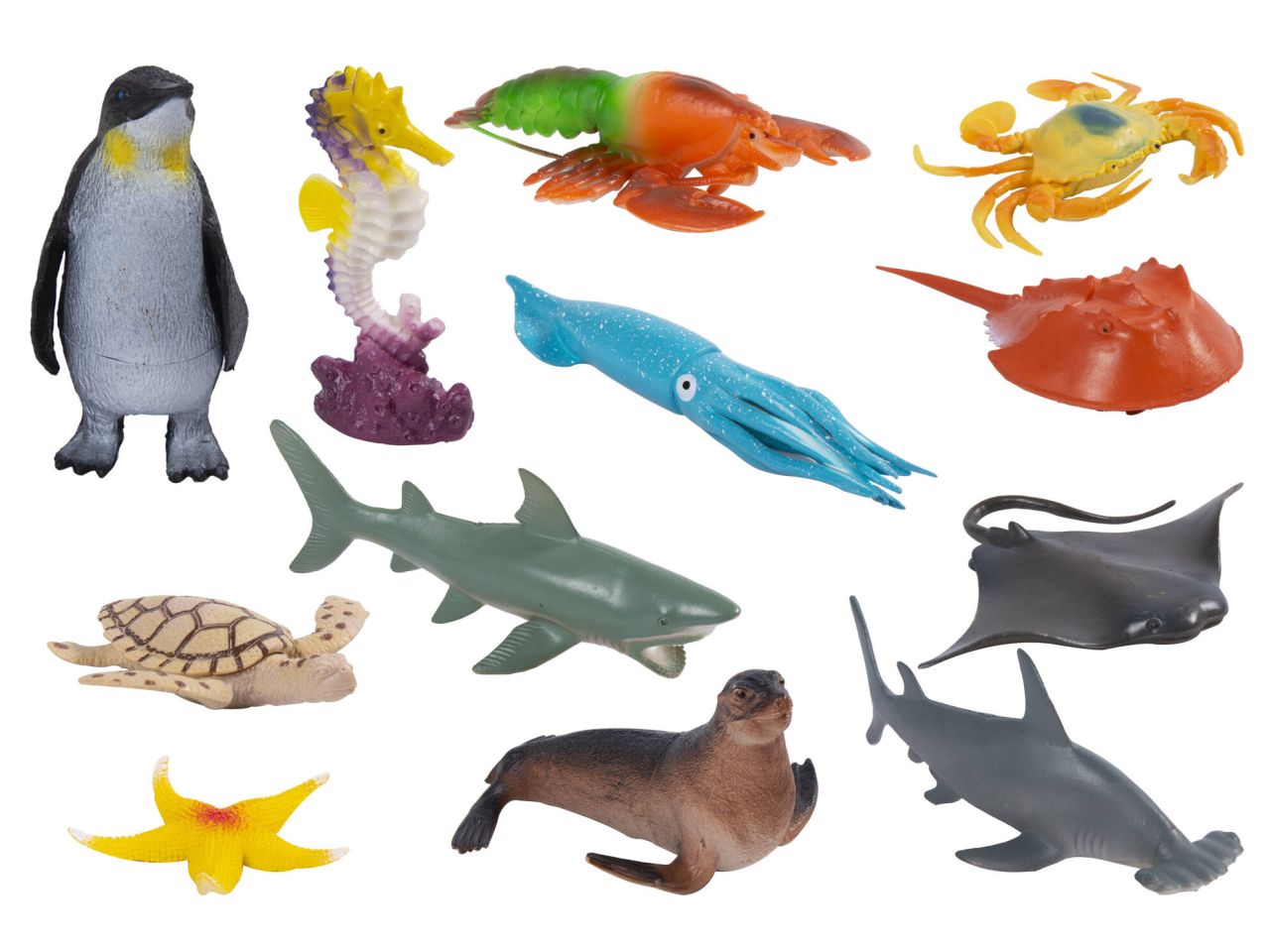 Animali marini 12 animali assortiti