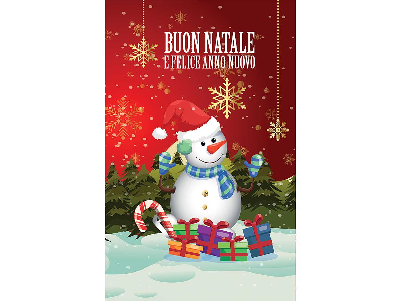 Biglietti buon natale 9x14cm 6 pezzi
