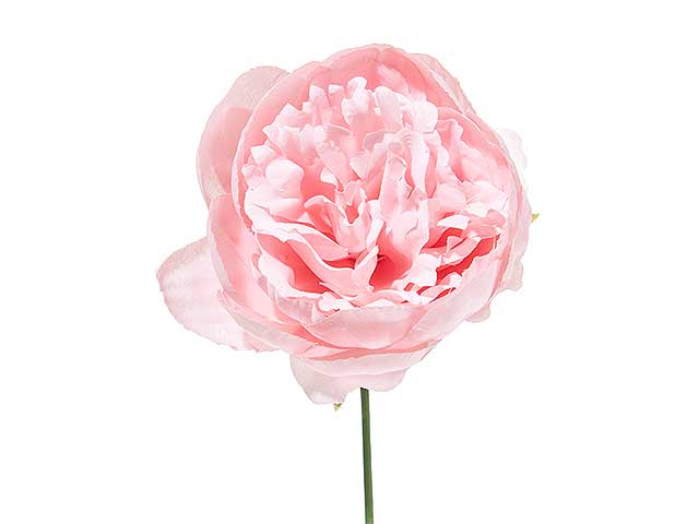 Pick peonia h19xd11cm 12 pezzi a15639