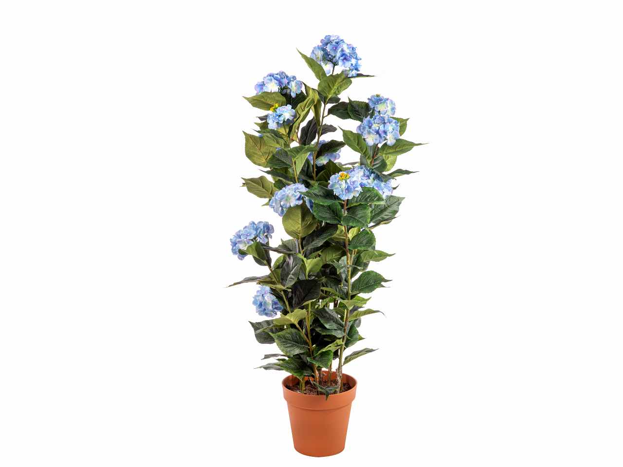 Pianta ortensia 150cm blu a25012
