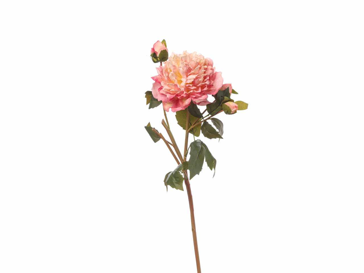 Peonia con bocciolo 55cm mauve