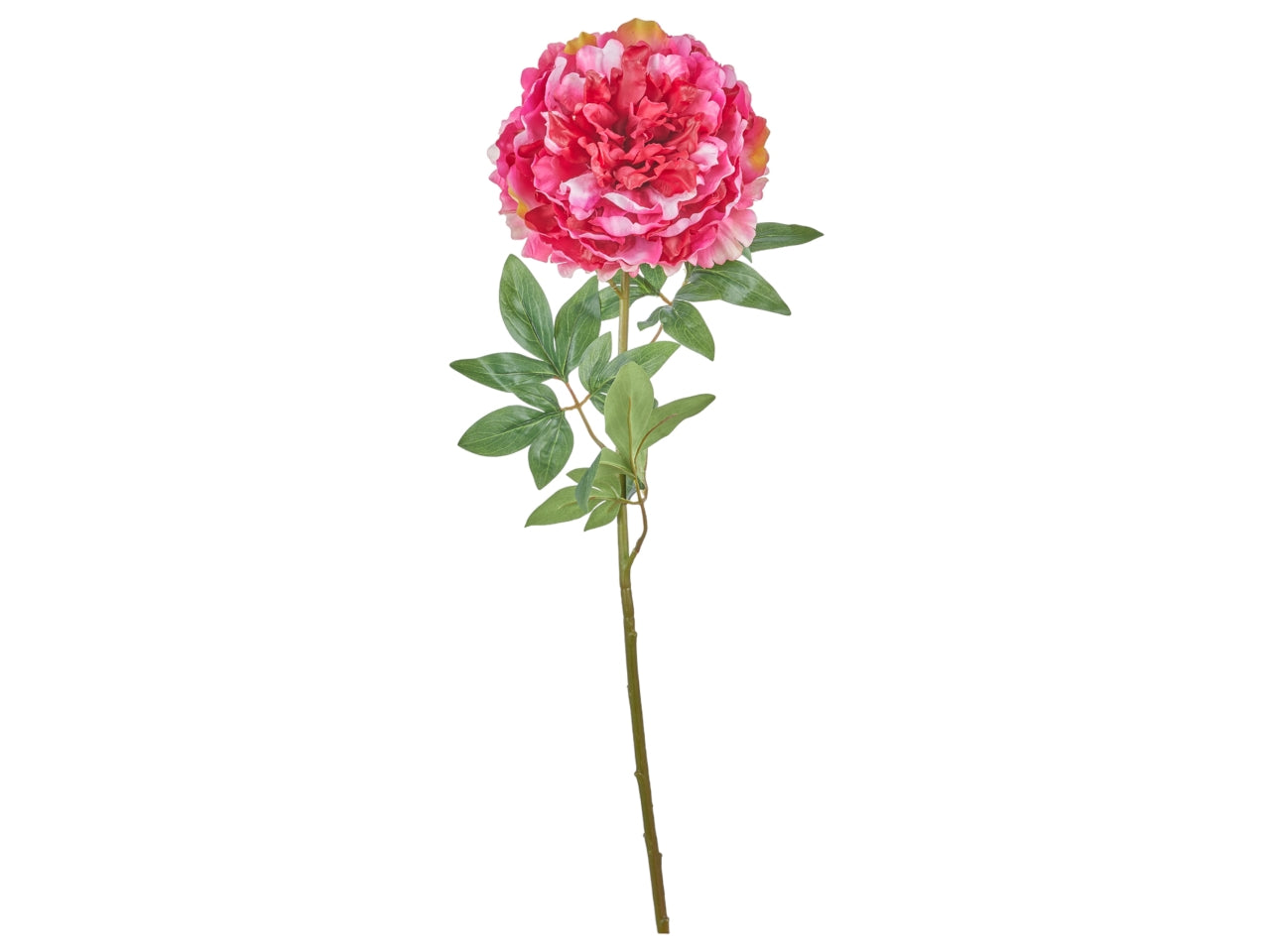 Peonia fucsia artificiale con stelo flessibile, foglie e fiore in tessuto 70 cm - Arpimex