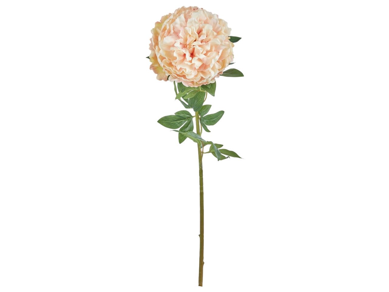 Peonia rosa artificiale con stelo flessibile, foglie e fiore in tessuto 70 cm - Arpimex