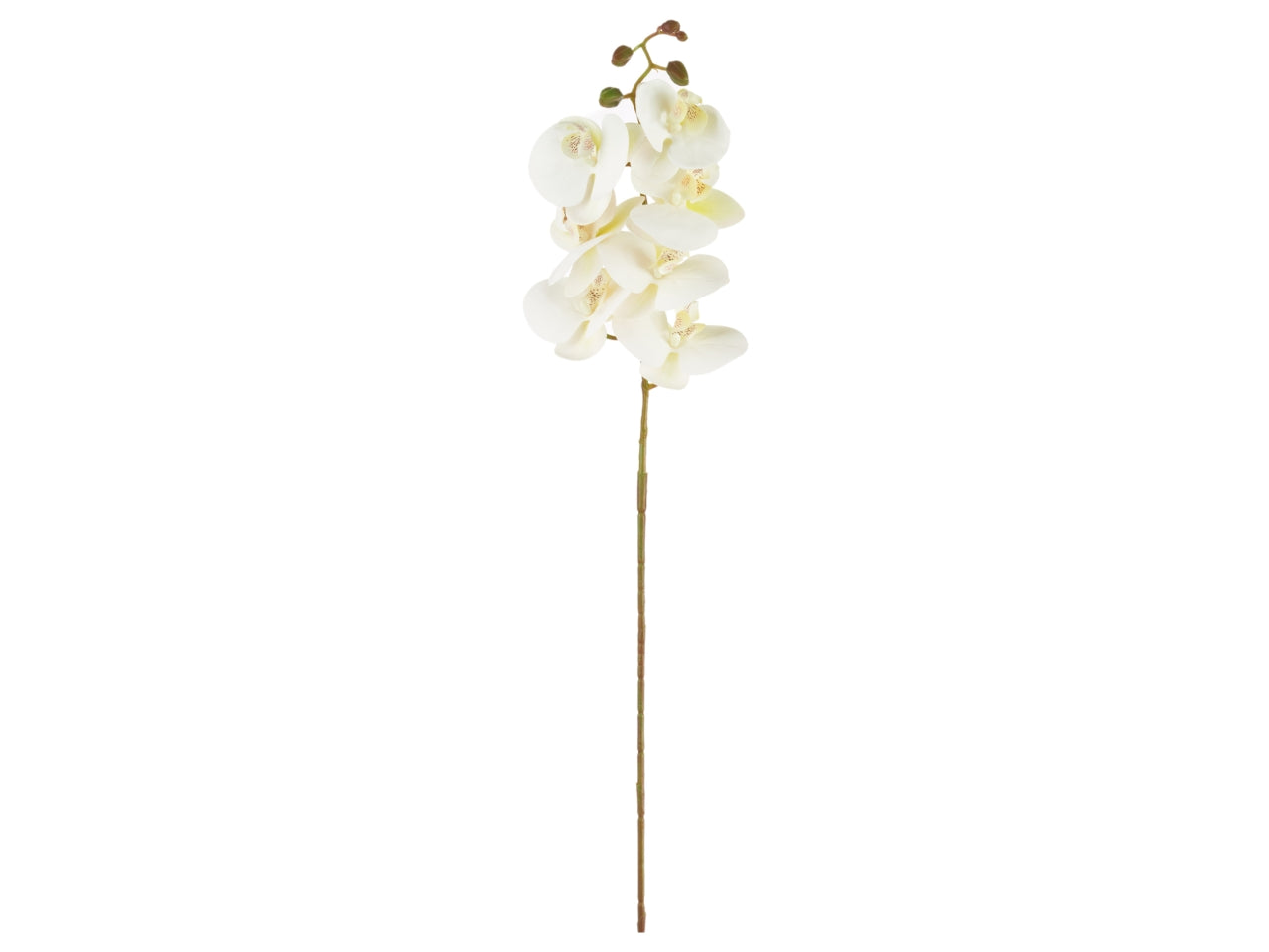Orchidea bianca artificiale, ramo con 7 fiori, 105 cm - Arpimex