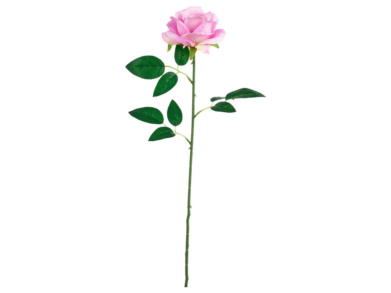 Rosa artificiale glicine in tessuto a stelo lungo con foglie, 60 cm - Arpimex