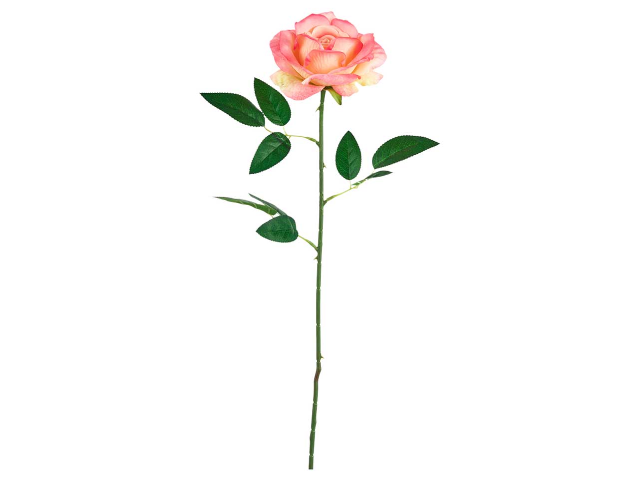 Rosa artificiale sfumata fucsia in tessuto a stelo lungo con foglie, 60 cm - Arpimex
