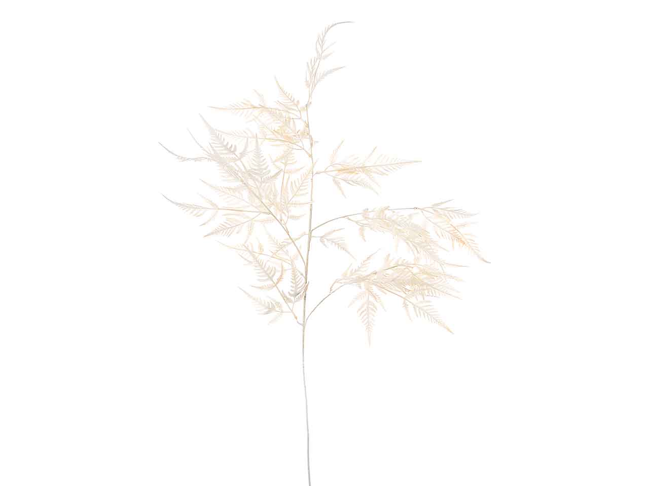 Tralcio felce 90cm champagne a26448