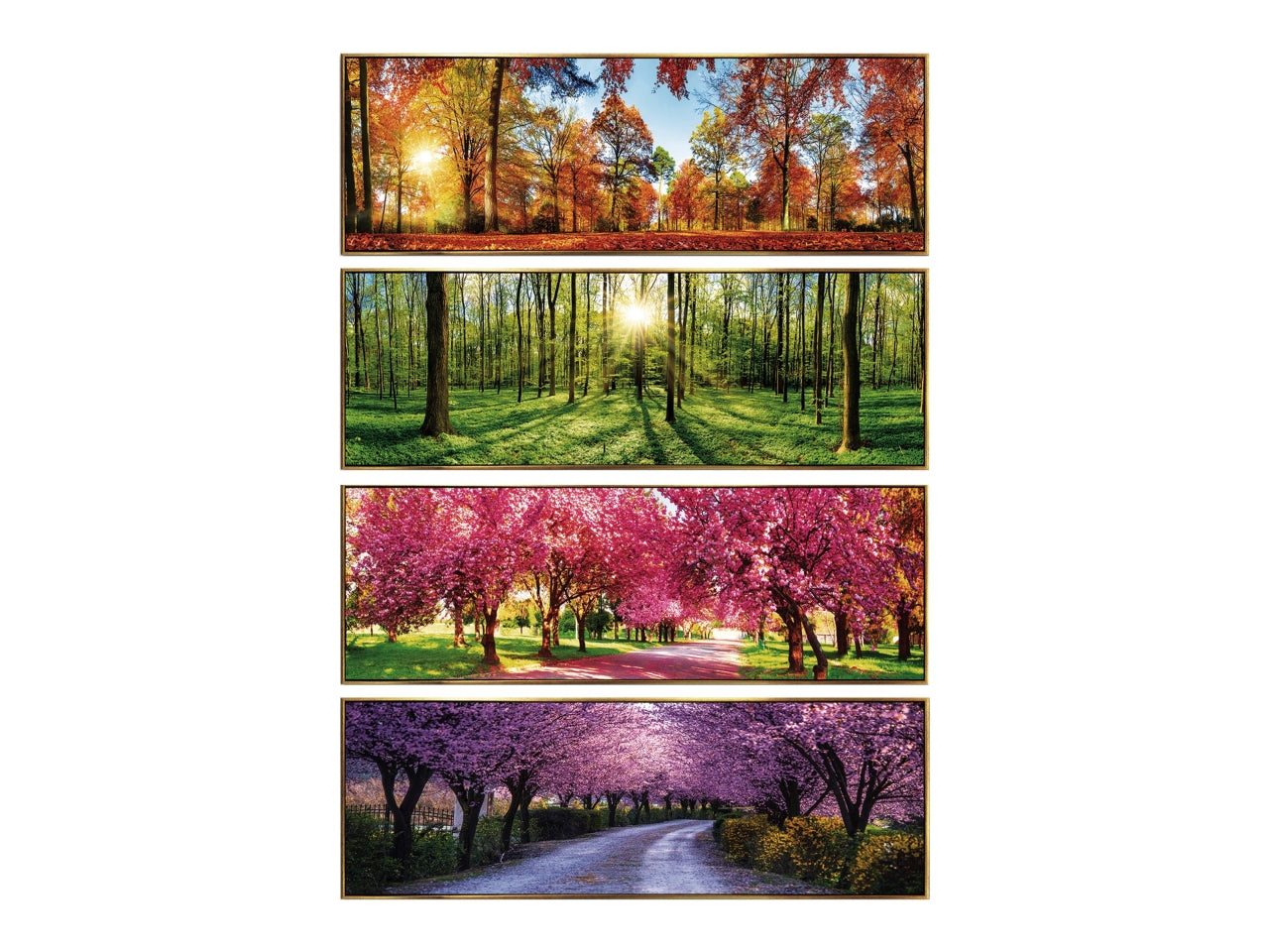 Quadro oleografico su tela con cornice foresta multicolor 122x42 cm Ad Trend