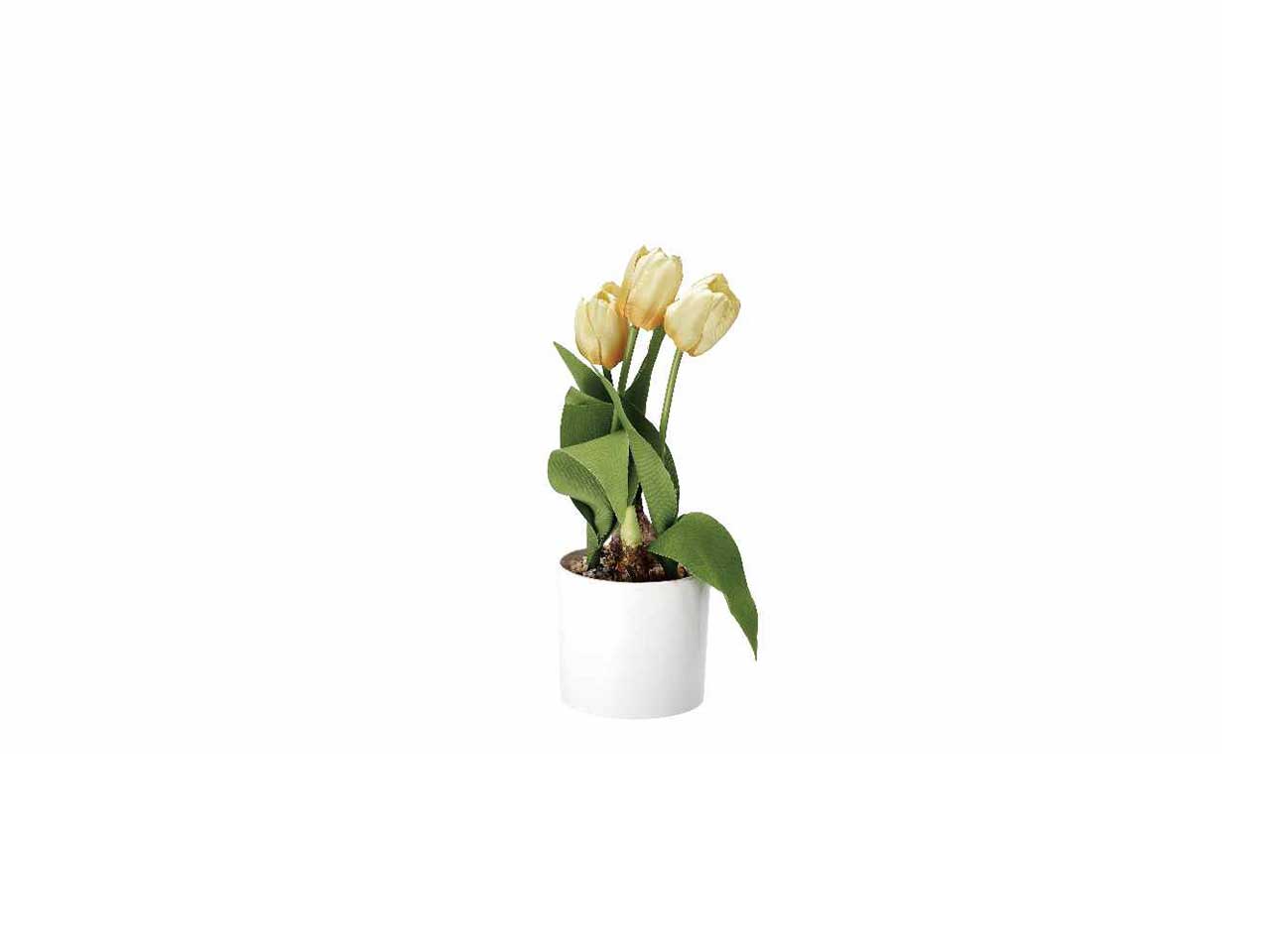 Vaso c/tulipani d.10xh32cm 74876