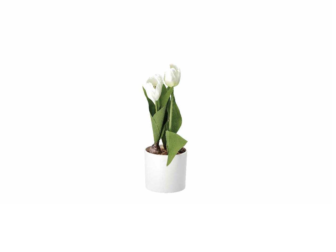 Vaso c/tulipani d.10xh32cm 74876