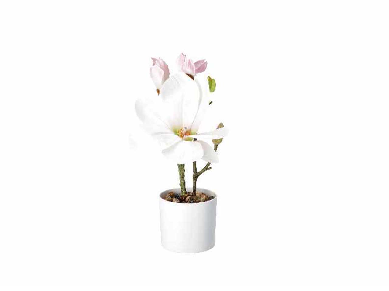 Vaso c/magnolie d8,5xh30cm 74886