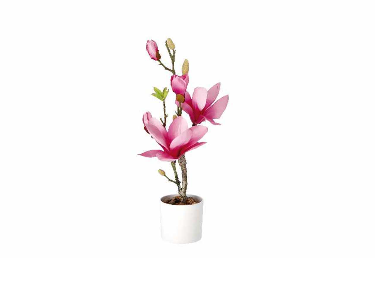 Vaso c/magnolie d.10xh46cm 74887
