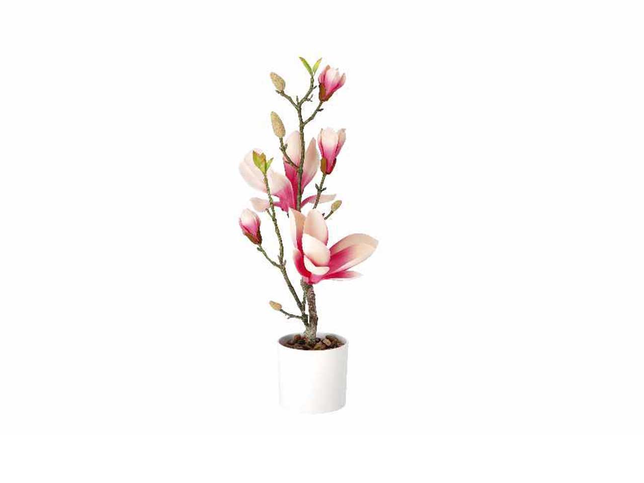 Vaso c/magnolie d.10xh46cm 74887