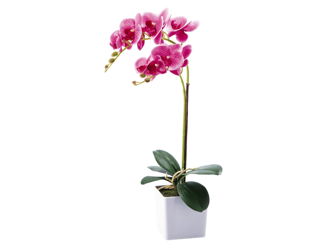 Orchidea con vaso d.10xh.52cm disponibile 4 colori