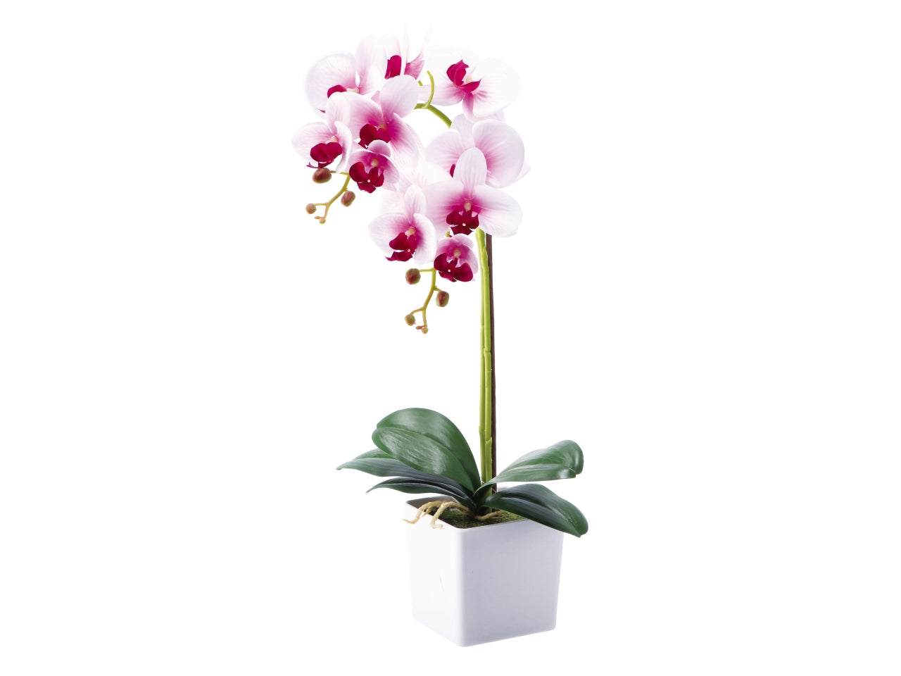 Orchidea con vaso d.10xh.52cm disponibile 4 colori