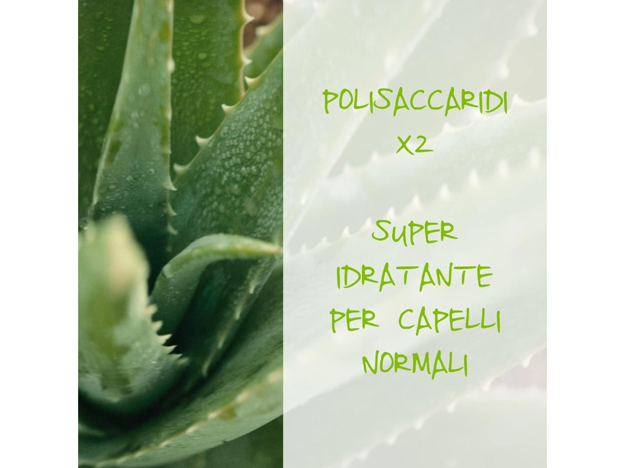 Omia maschera capelli aloe vera