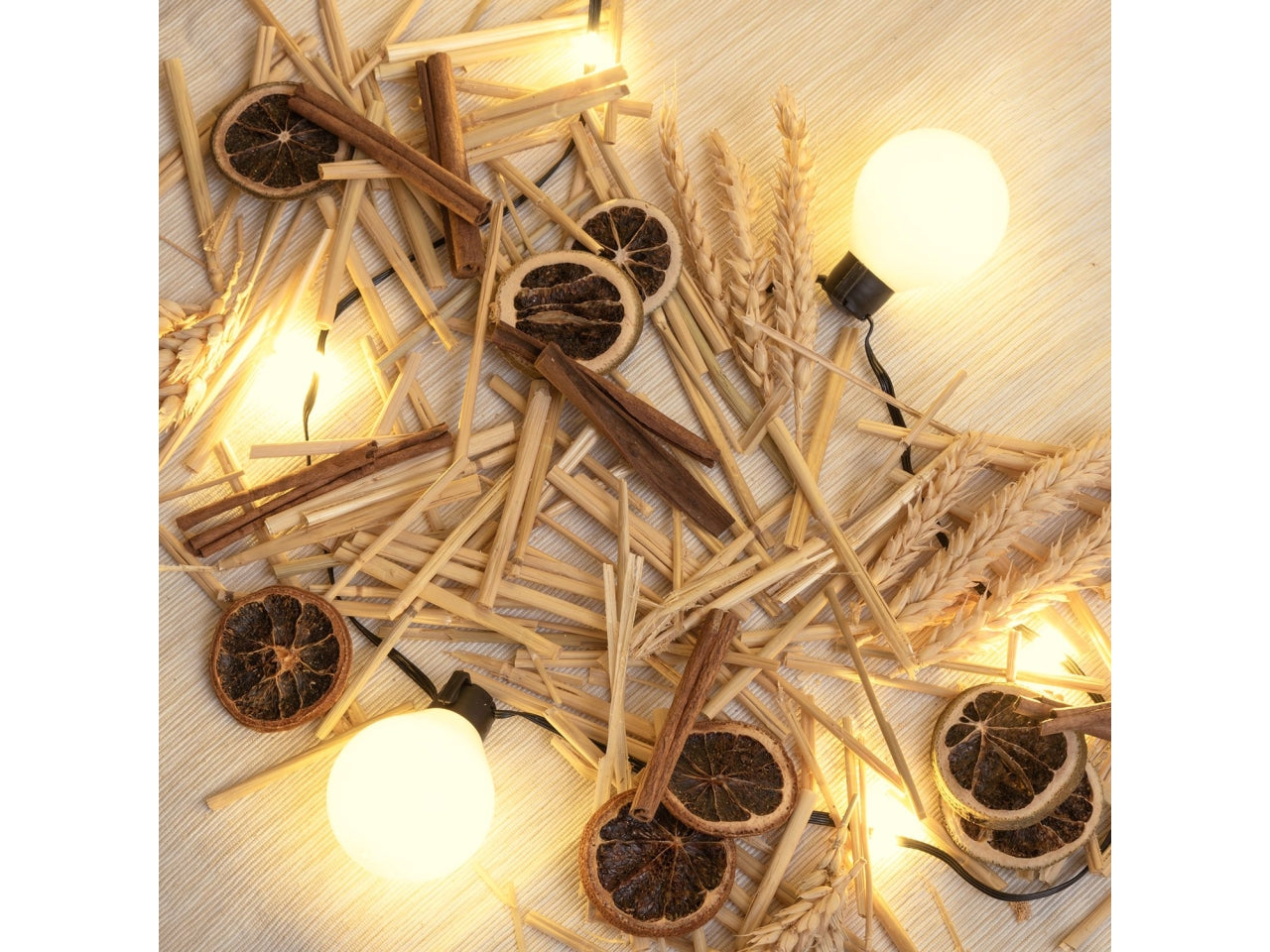 Catena luminosa 10 m da 25 lampadine bianco caldo 75511 - Lotti