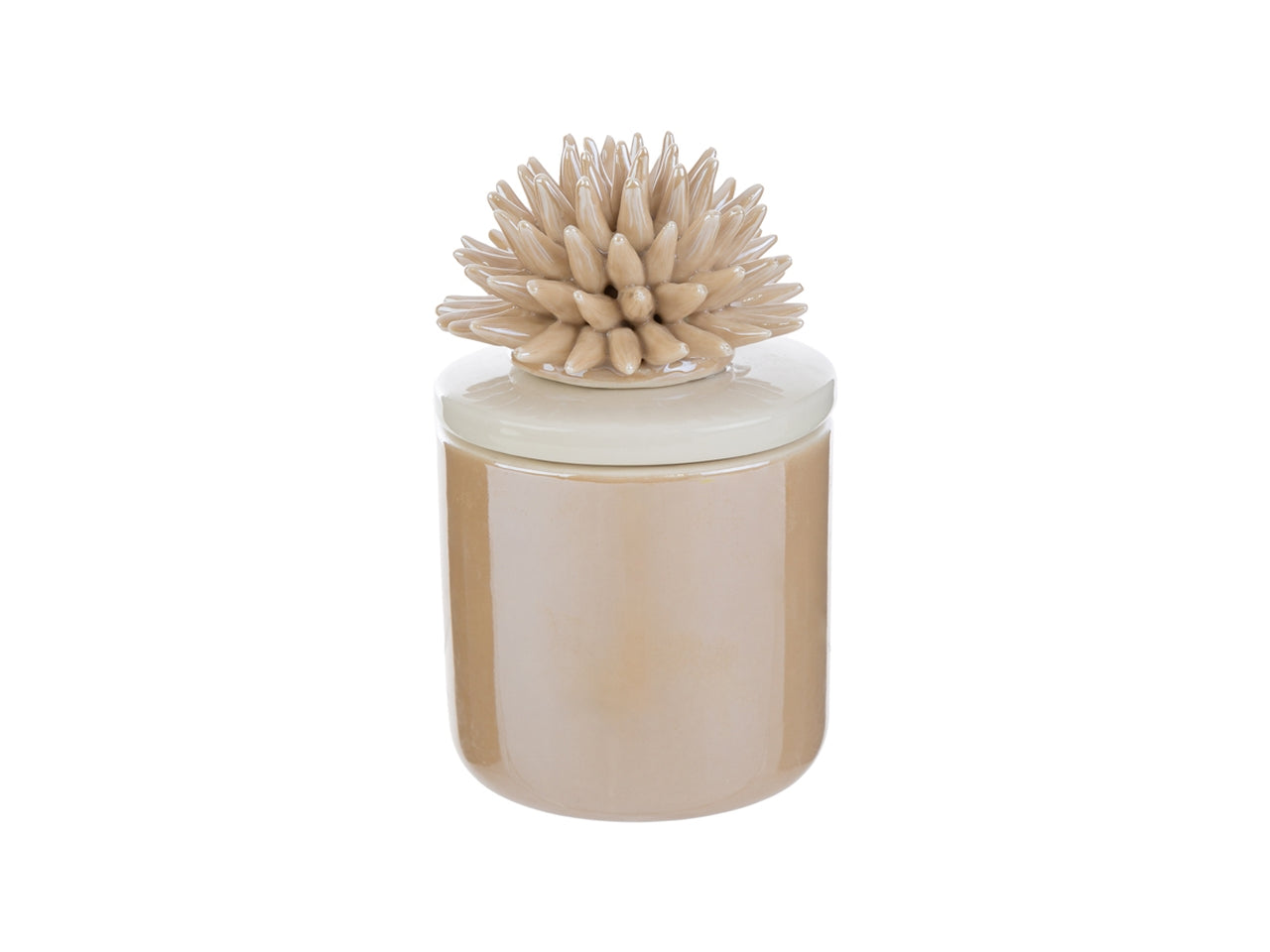 Candela scatola corallo porcellana beige 7,5x7,5xh.11,5cm con astuccio