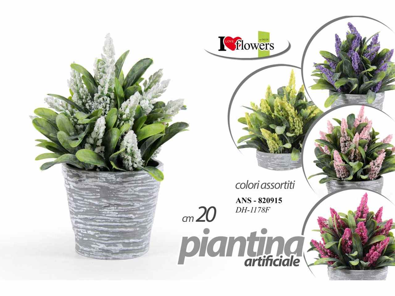 Piantina 20cm 820915