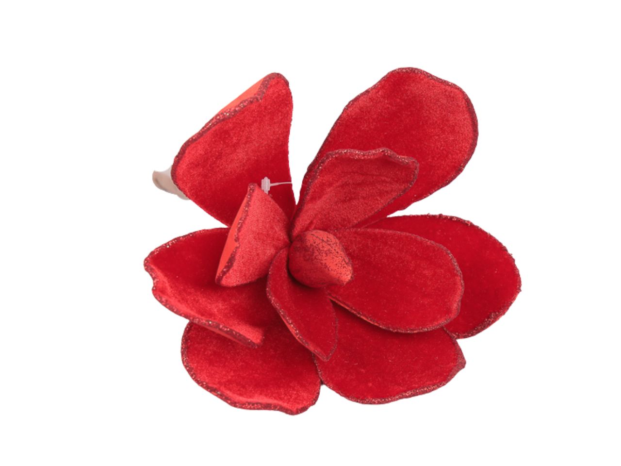 Magnolia velluto 21cm rosso 1nhz1420