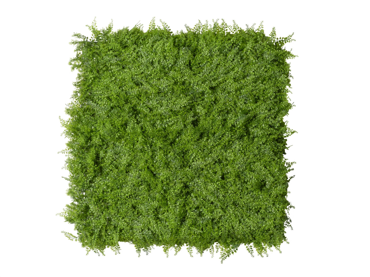 Siepe artificiale per parete giardino verticale muschio in plastica - 100x100cm - Conti