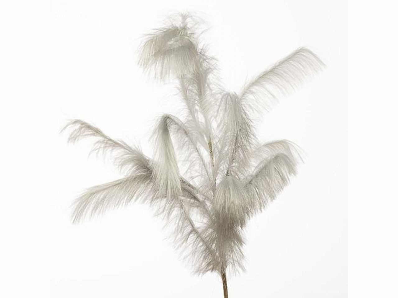 Pampas 180cm silver 2phz2099