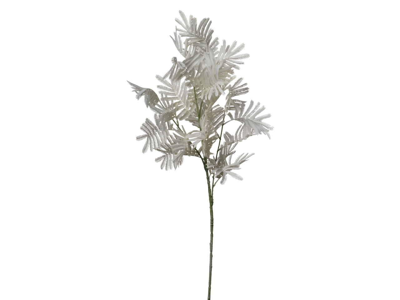 Foglie di mimosa bianco artificiale, stelo con 4 rami in plastica, 95cm - Conti