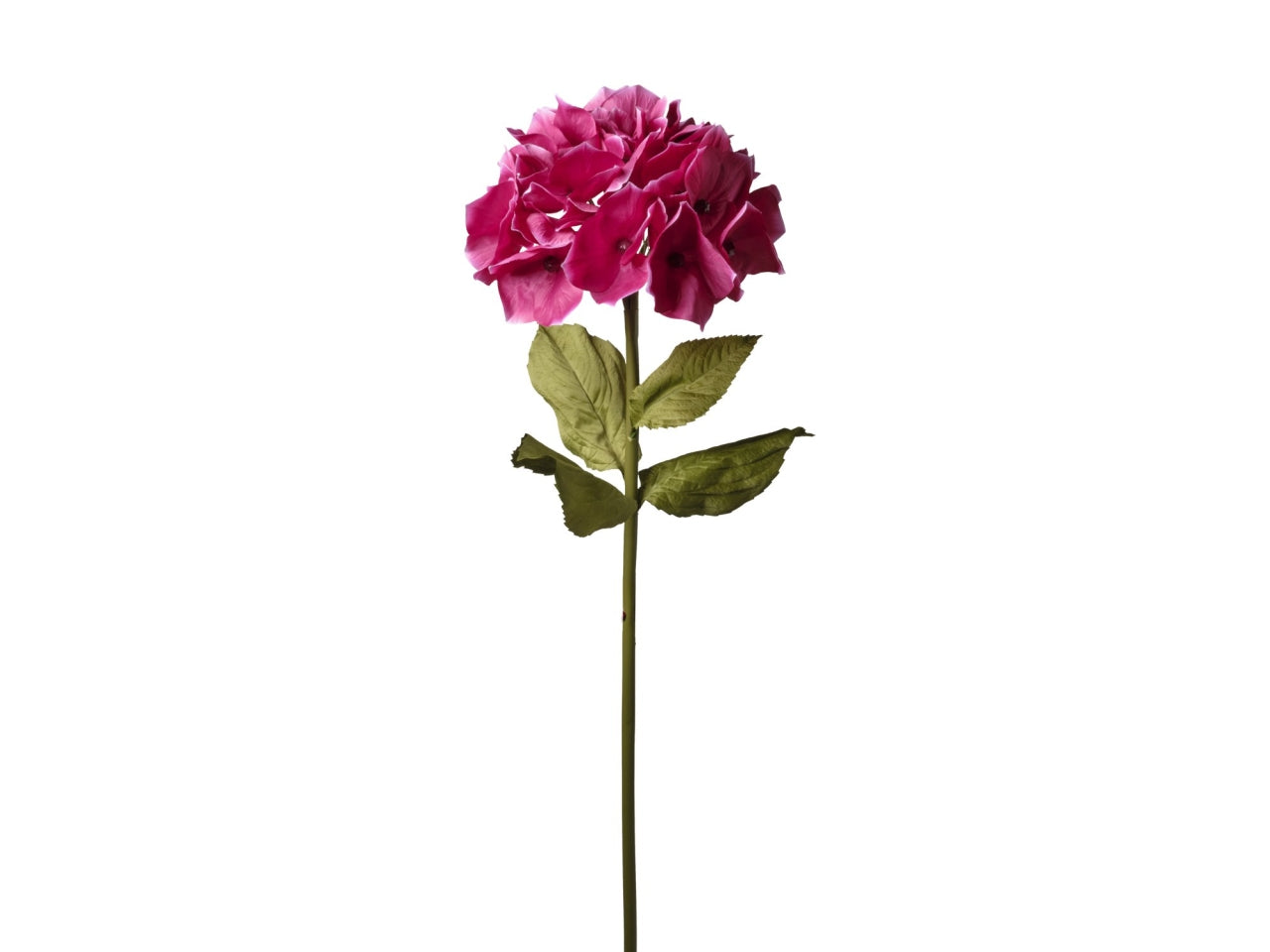 Ortensia fucsia artificiale stelo 4 foglie e 36 fiori, flessibile in plastica e tessuto sintetico, 120 cm - Conti