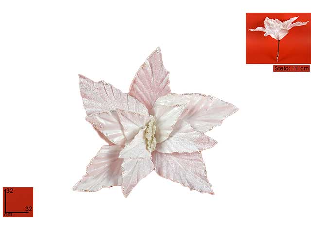 Poinsetta laminata c/pin.32cmmo002725f