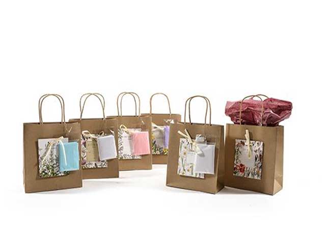 Sacchetto c/2 veline h22.8x19x10cm25169