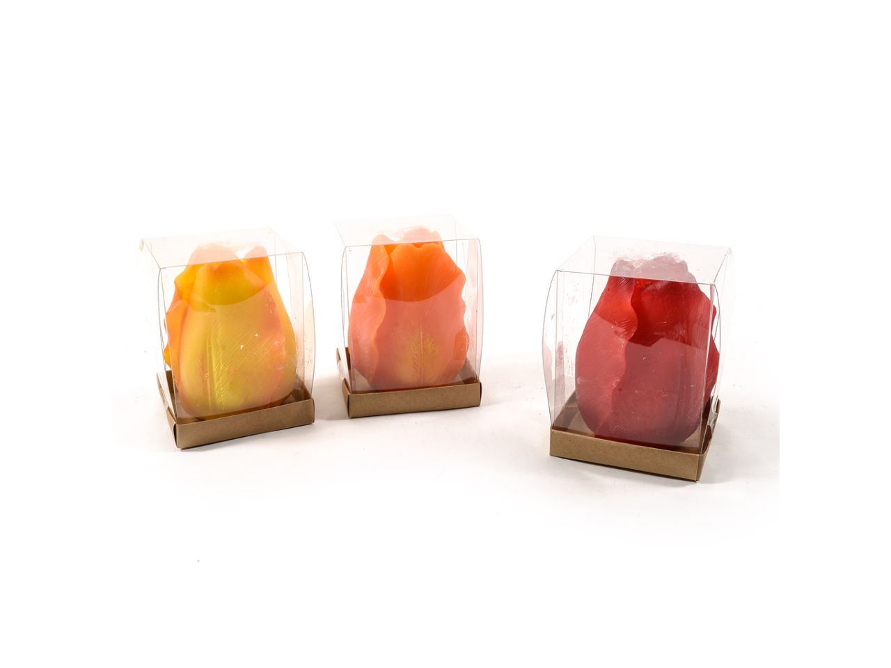 Candela tulipano 5.5x6.5xh.7.5cm colori assortiti in scatola regalo