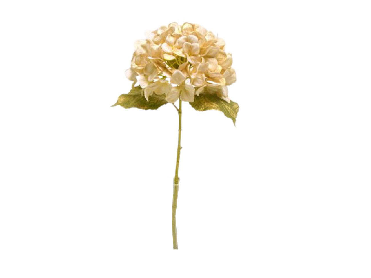 Ortensia singola spruzzata 63cm avorio