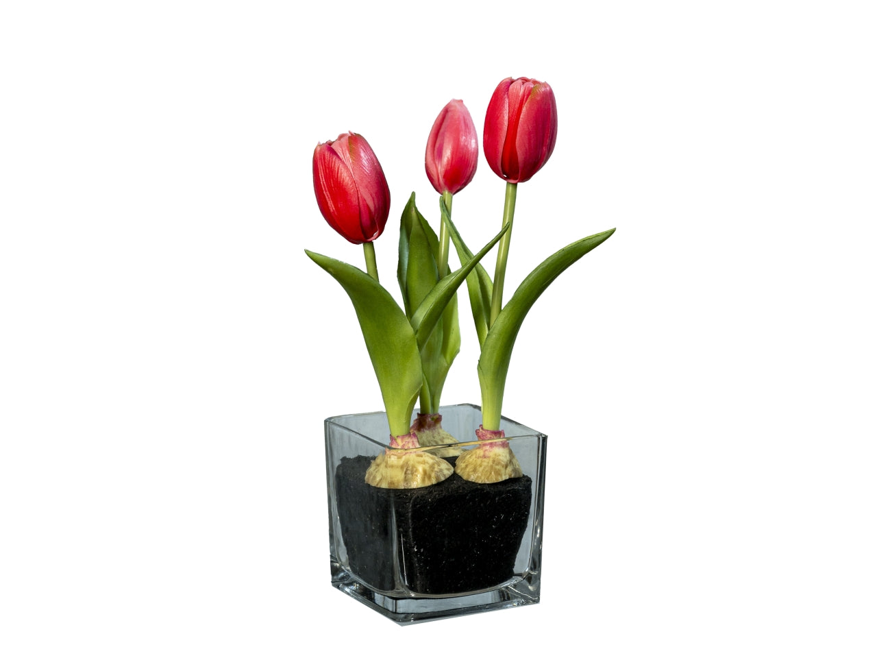 Tulipani rosa scuro artificiali in vaso di vetro 23 cm - Tobia's Decò.