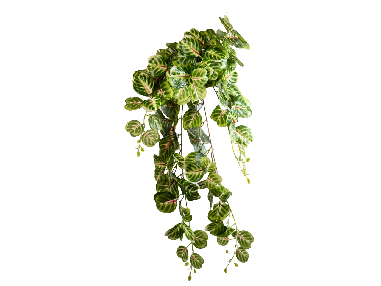 Cespuglio artificiale di vite amaranthus verde variegata, 80 cm Tobia's Decò