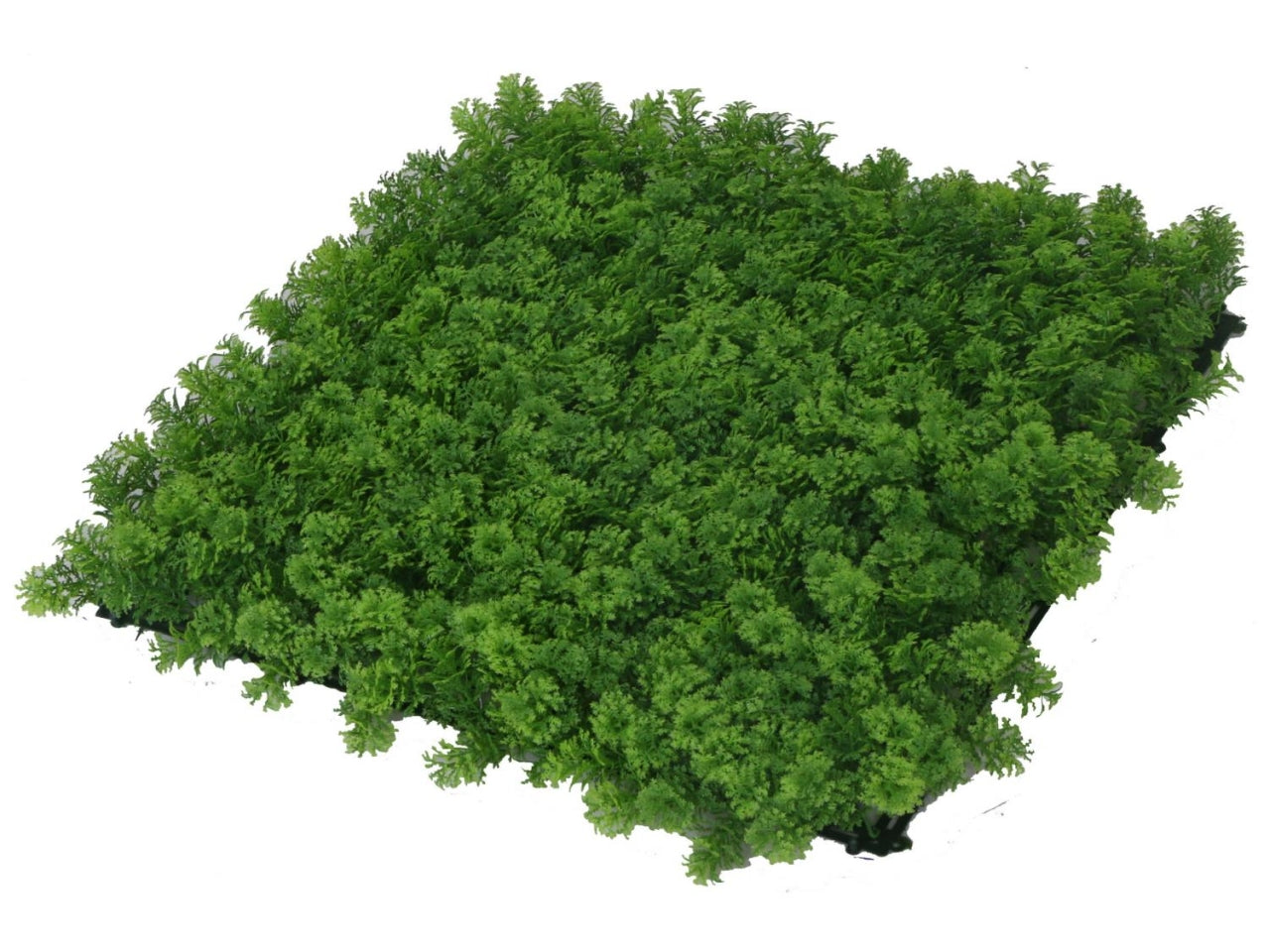 Pannello lichene artficiale decorazione da parete tropicale verde, effetto naturale, facile applicazione - 100x100cm - Vacchetti