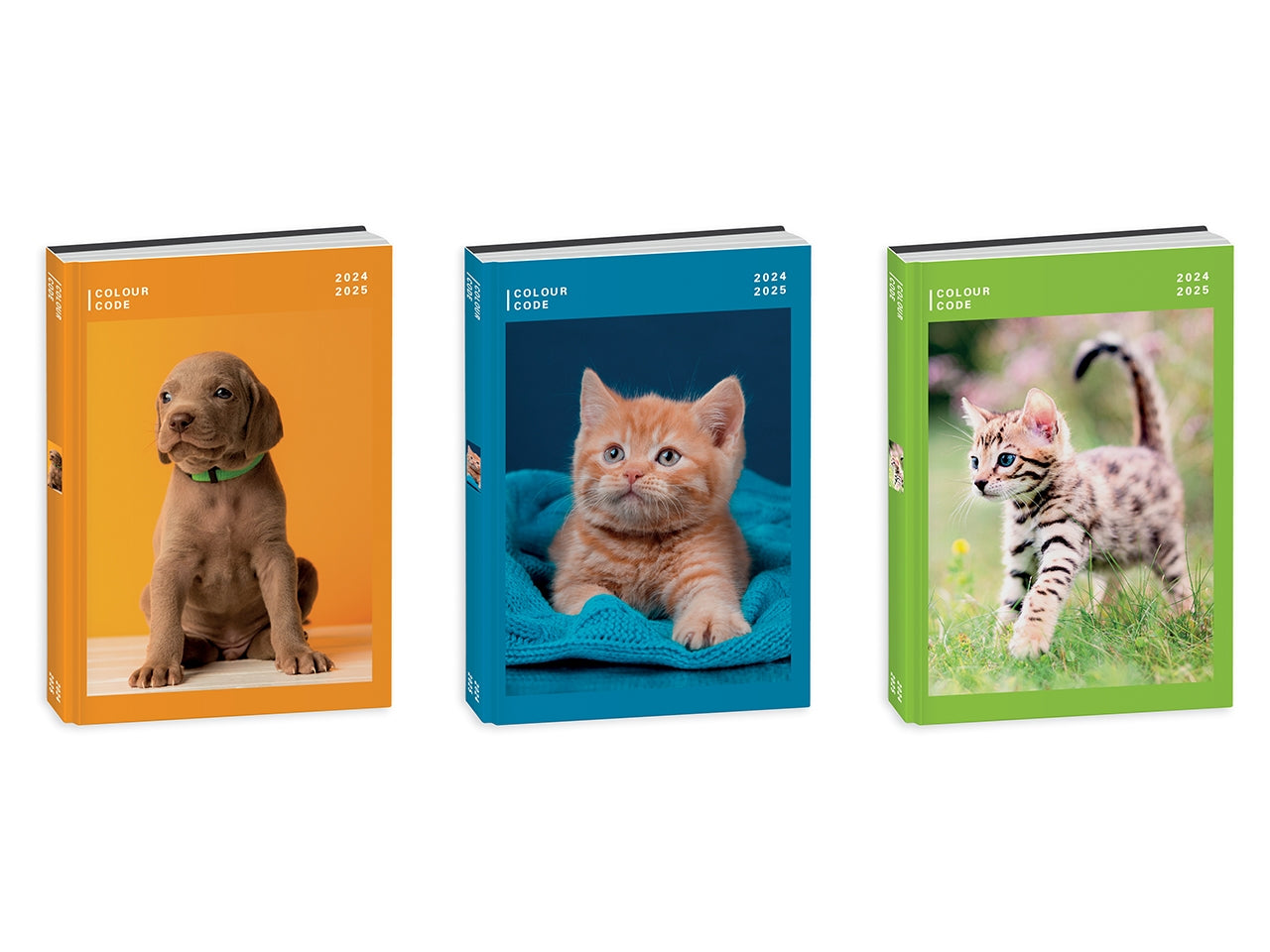 Diario 10 Mesi Animal Snapshot - Multicolor, 13,6x18,3 cm, 352 Pagine | Seven