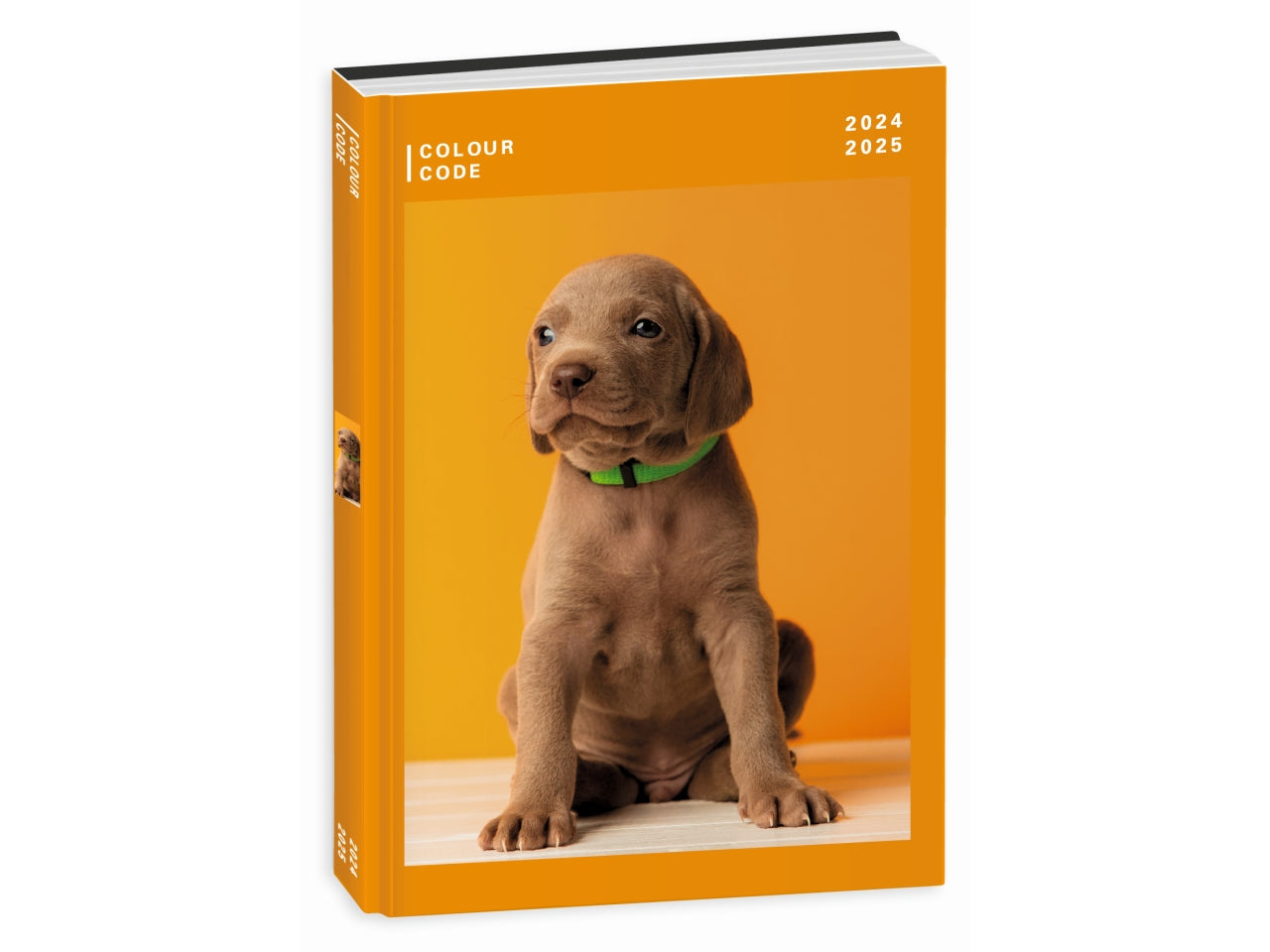 Diario 10 Mesi Animal Snapshot - Multicolor, 13,6x18,3 cm, 352 Pagine | Seven