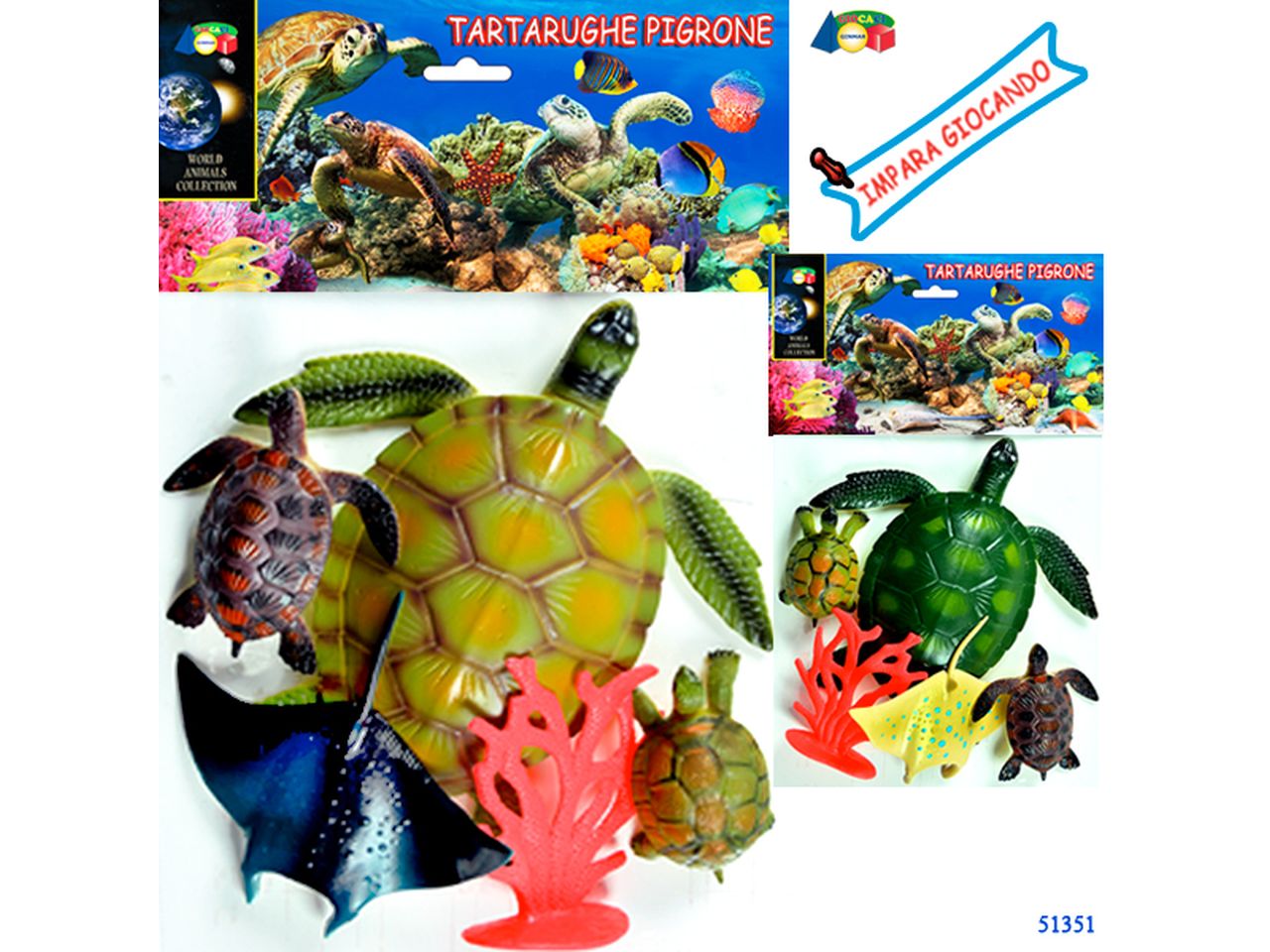 Tartarughe pigrone 51351