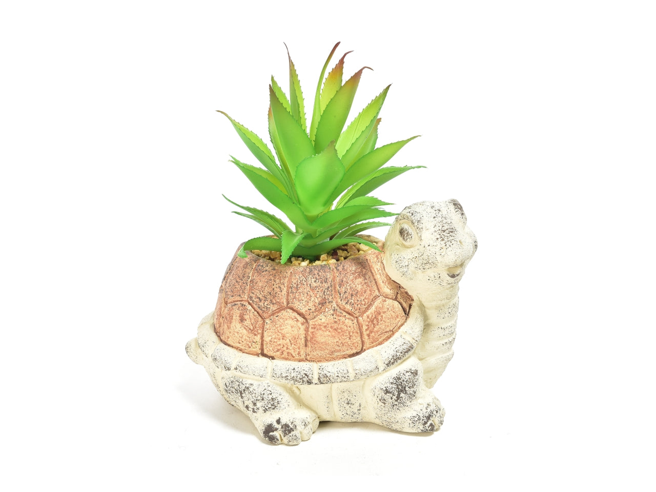 Piantina aloe in vaso tartaruga di cemento 14x10x20 cm - M Home