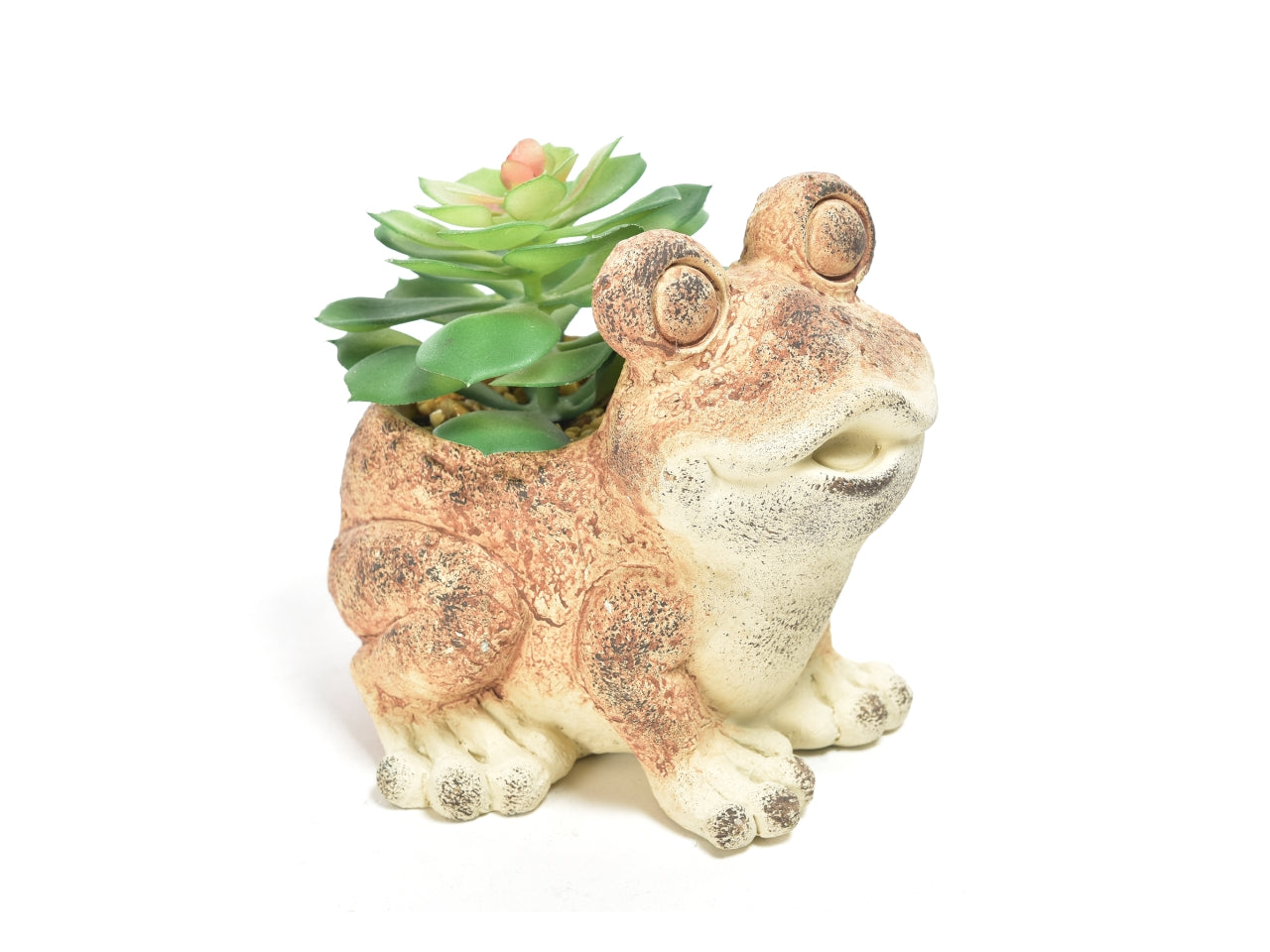 Piantina grassa in vaso di cemento a forma di rana 14x10x20 cm - M Home