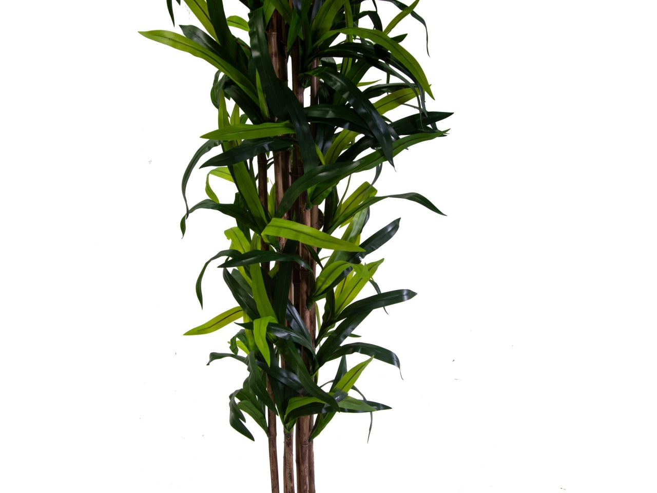 Pianta Dracaena artificiale da interno con vaso fondo cemento 198 cm - Vacchetti