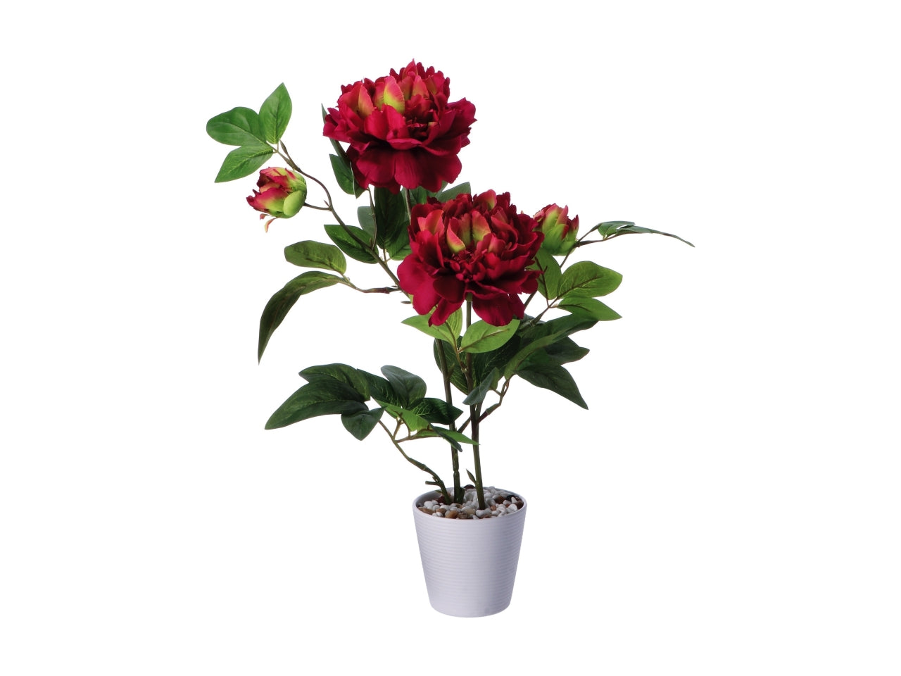 Piantina peonia finta in vaso di melamina - colore assortiti realistica e flessibile con fogliame opaco - d.12xh.58cm - Star