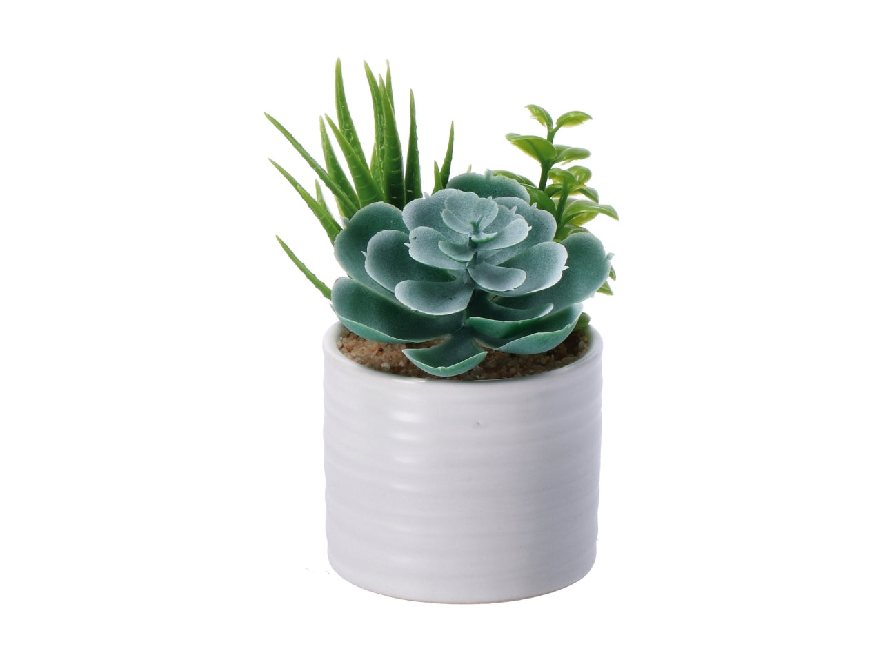 Piantina grassa artificiale con vaso ceramica in colori assortiti in poliestere 7,5x13 cm - AD Trend