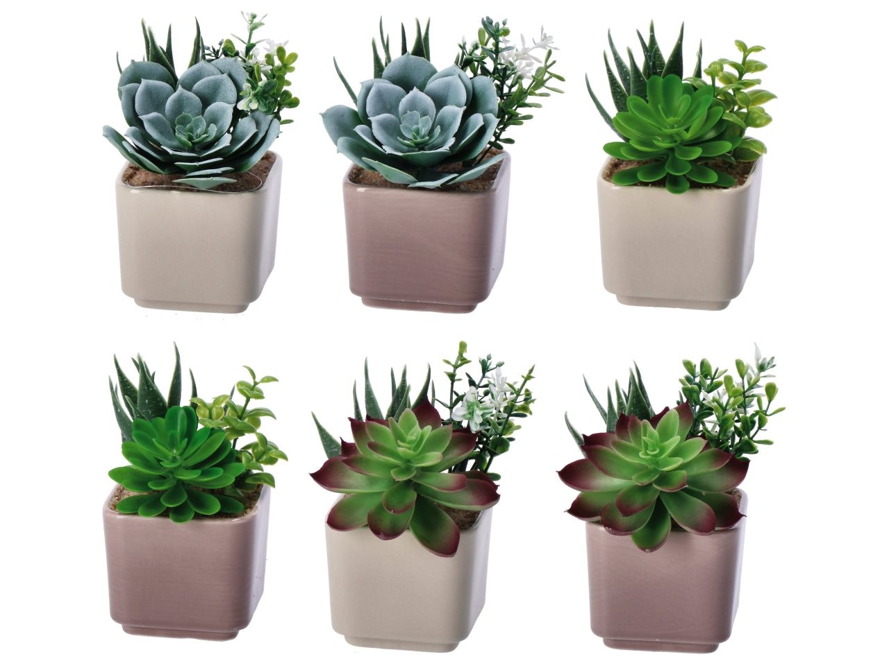 Piantina grassa artificiale con vaso ceramica colori assortiti in poliestere 8x8x14 cm - AD Trend