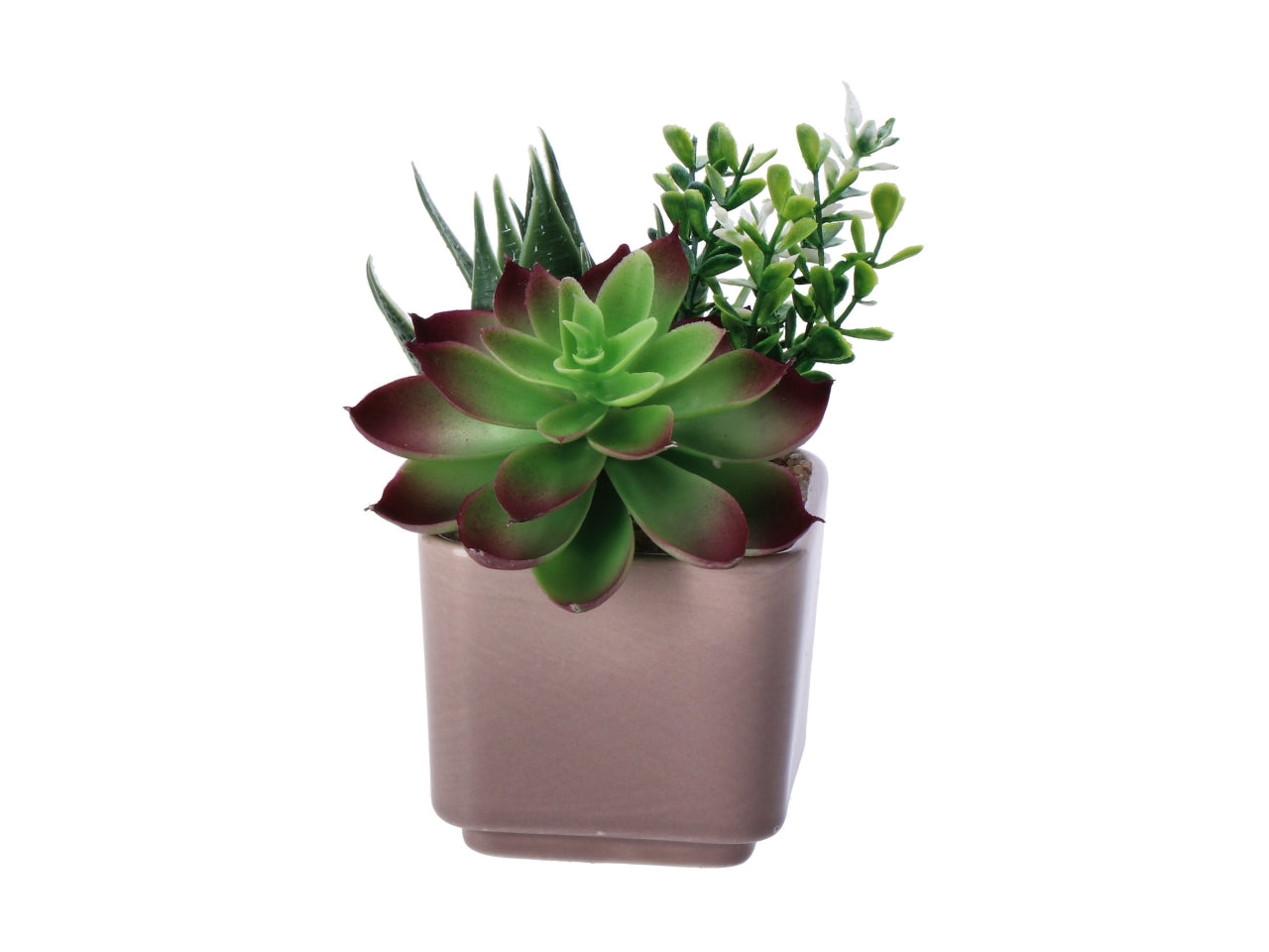 Piantina grassa artificiale con vaso ceramica colori assortiti in poliestere 8x8x14 cm - AD Trend
