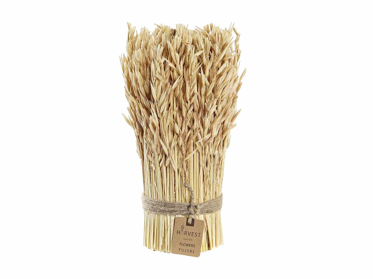 Bouquet fiore secco 11x11x29 naturale