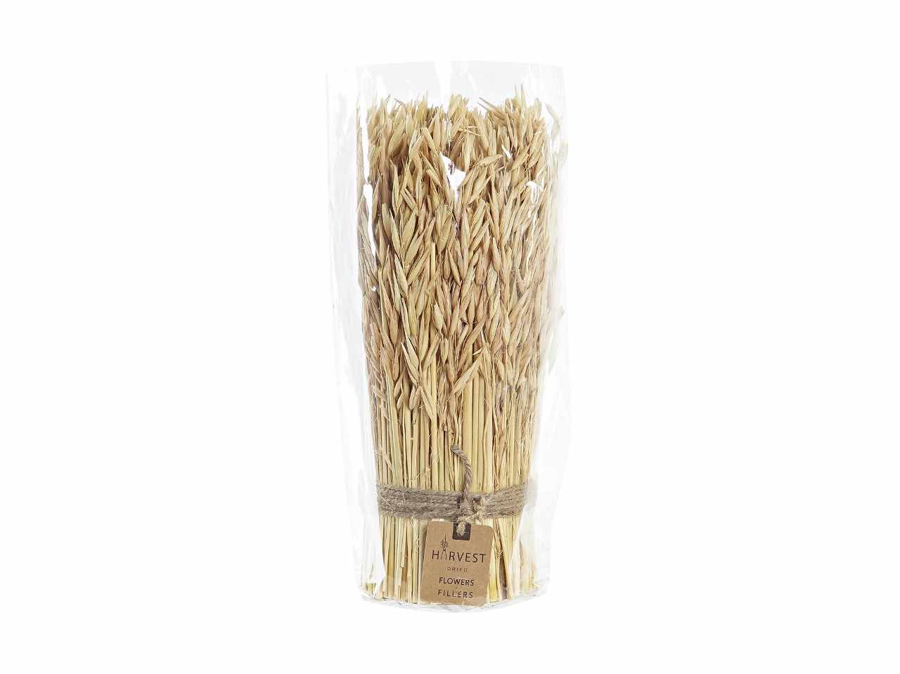 Bouquet fiore secco 11x11x29 naturale
