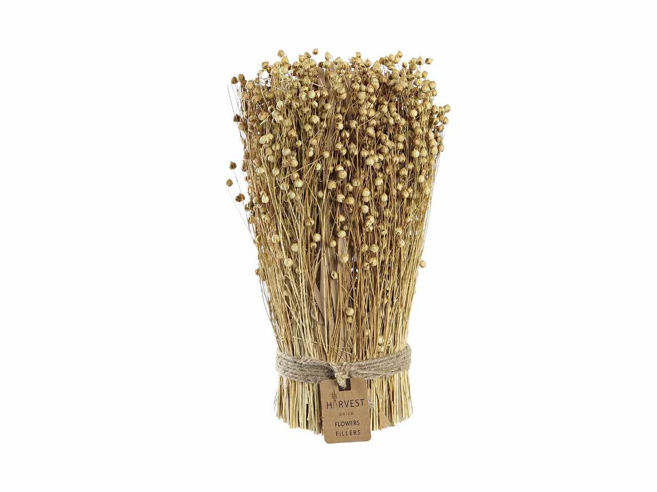 Bouquet fiore secco 12x12x31 naturale